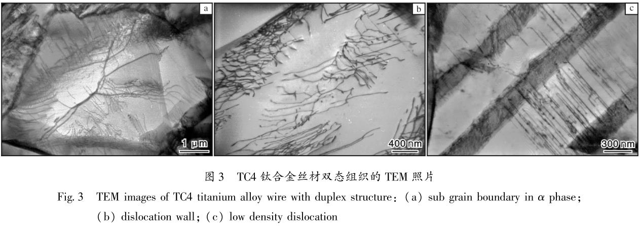 360截图16220418175819.jpg