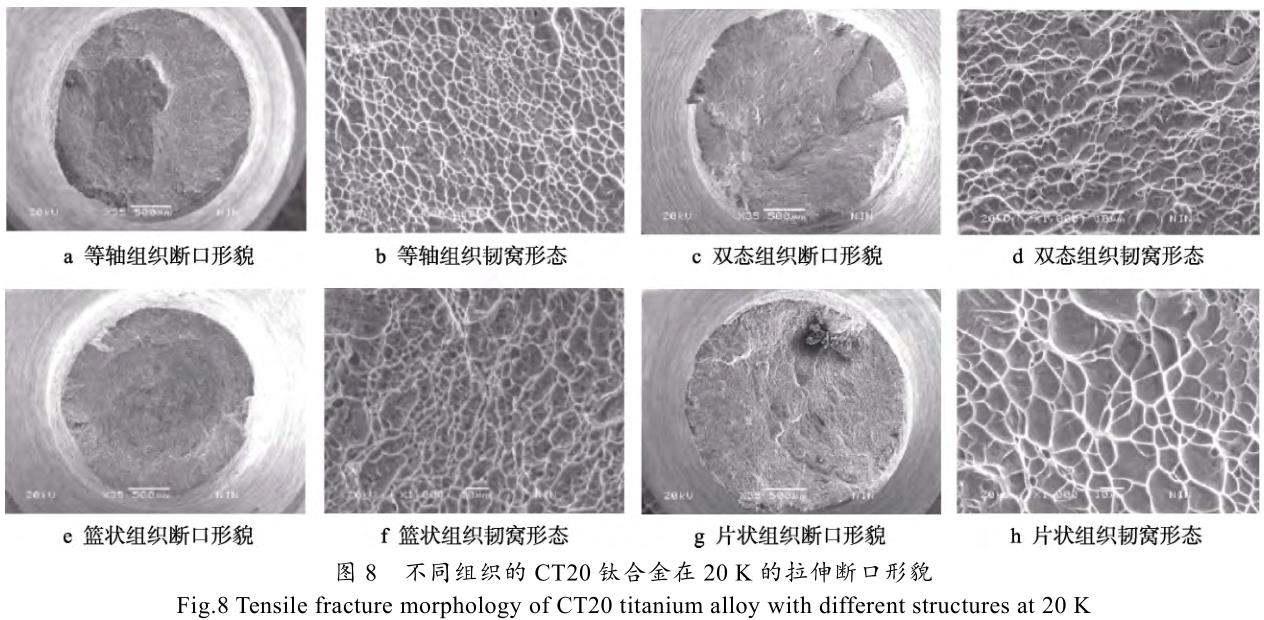 360截图165603149110872.jpg