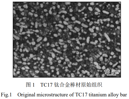 1735386765364440.png 截图20241228194724.png