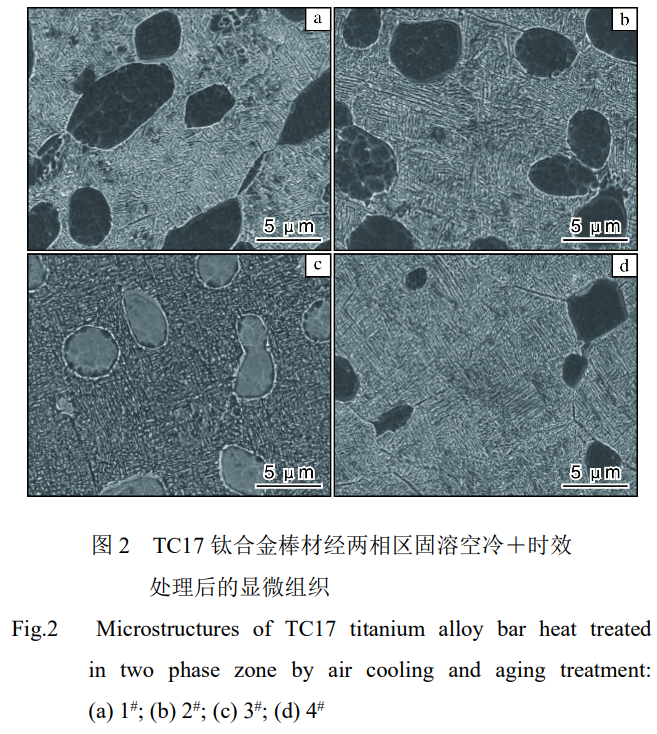 1735386789136521.png 截图20241228194758.png