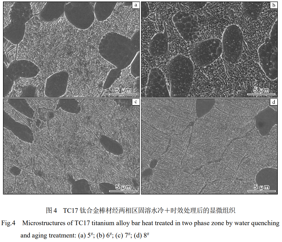 1735386807634309.png 截图20241228195011.png