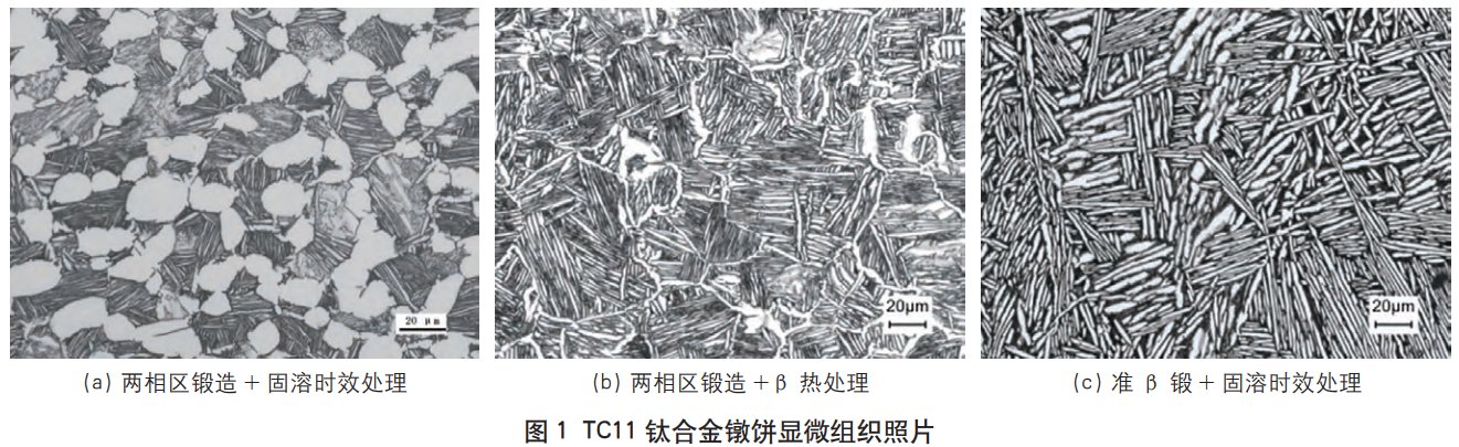 1735389612942958.png 截图20241228203730.png