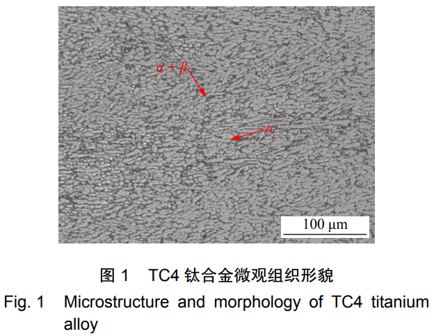 1735444047191037.png 截图20241229113857.png