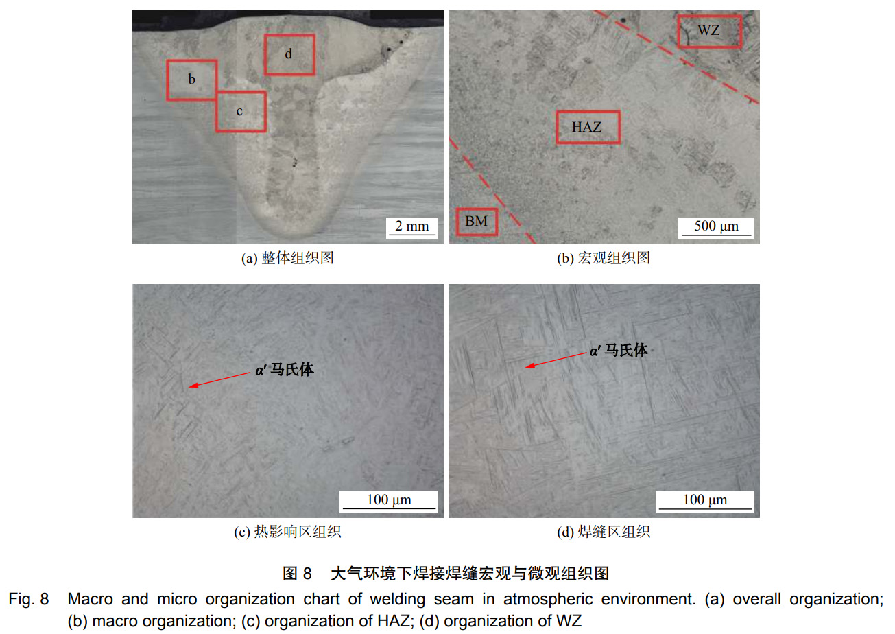 1735444223181171.jpg 未标题-1.jpg