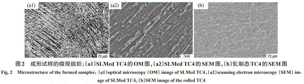 1738805448627153.png 截图20250206092642.png