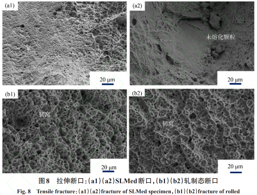 1738805533220780.png 截图20250206092841.png