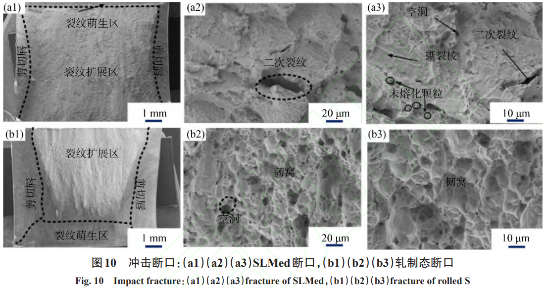 1738805576743096.png 截图20250206092919.png